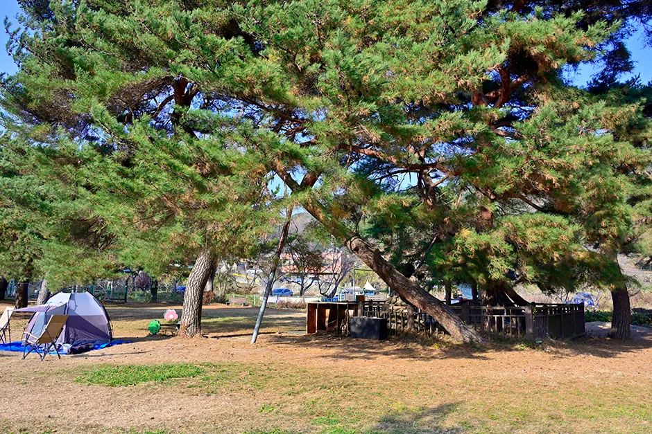 창원_창원마법의정원 (7).jpg