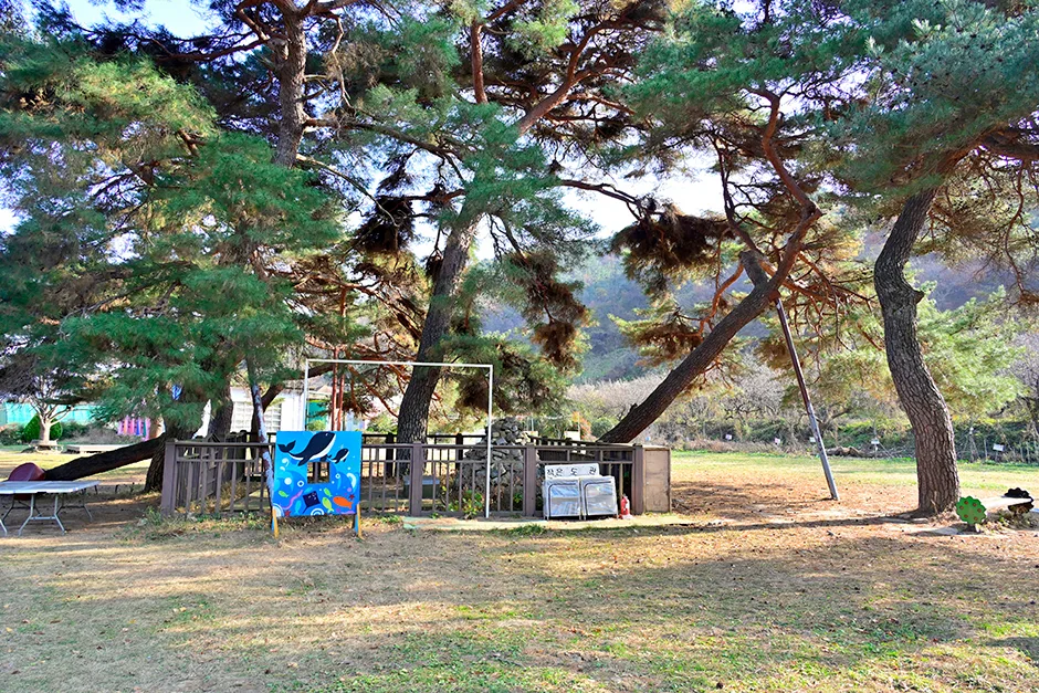 창원_창원마법의정원 (6).jpg