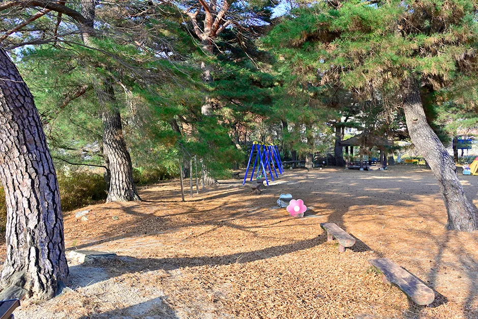 창원_창원마법의정원 (8).jpg