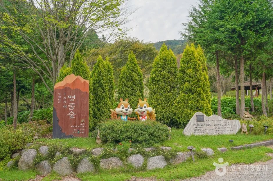 숲정원 윤제림