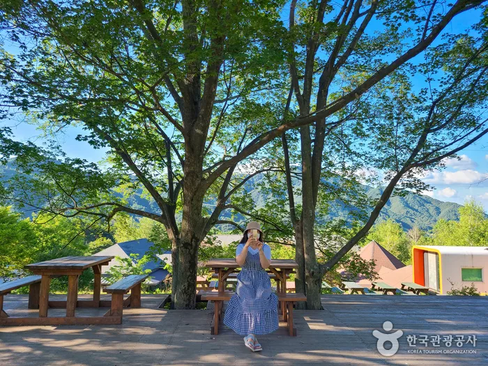 [소도시 낭만 여행, 마이리틀시티] 8탄 찾았다, 나의 무릉도원! 와인과 함께하는 함양 여행 02