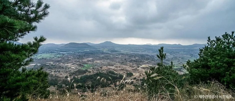 제주_둔지봉 (1)