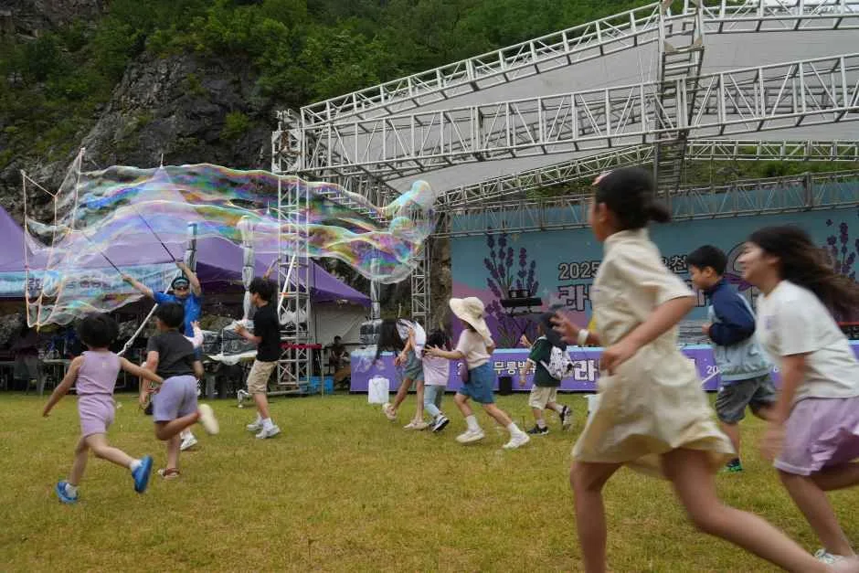 2026 무릉별유천지 라벤더축제 (7).JPG