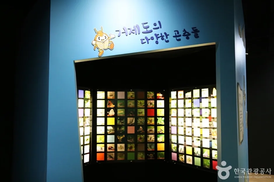 거제곤충생태박물관 (16)