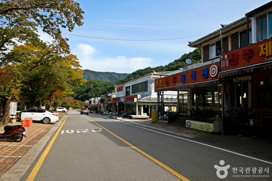 전북_무주_무주 구천동 관광특구 (13)
