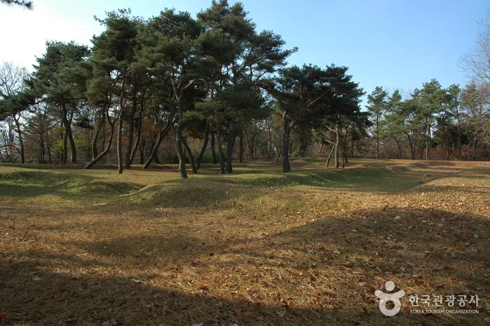 백제의 마지막 도읍을 걷다