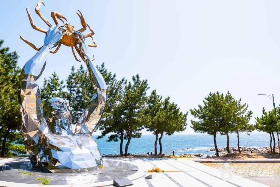 경북_영덕_구계항_공원_2.jpg