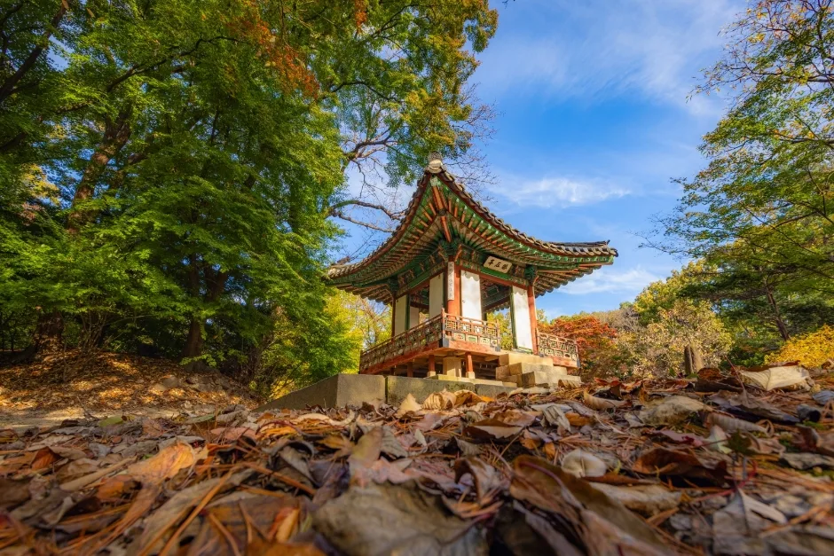 [아시아중동]창덕궁17(후원)_일반_1유형