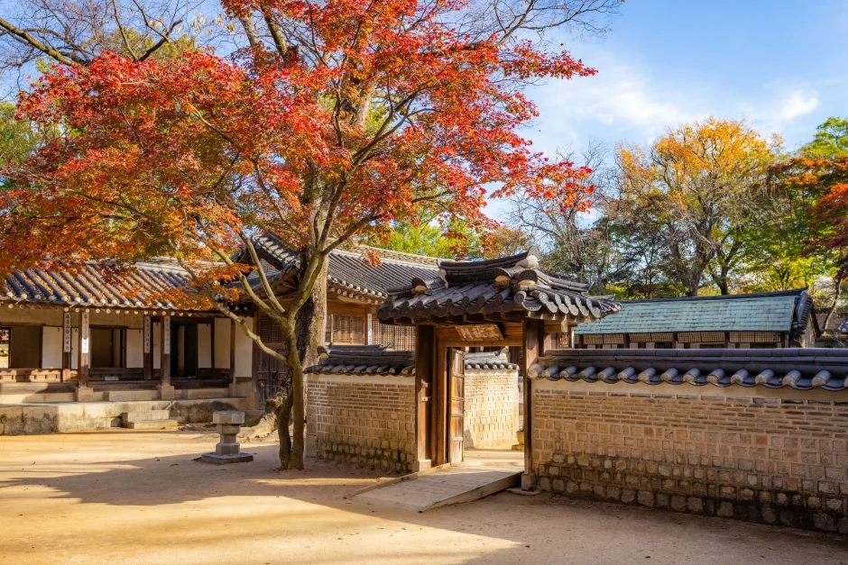 [아시아중동]창덕궁7(낙선재)_일반_1유형