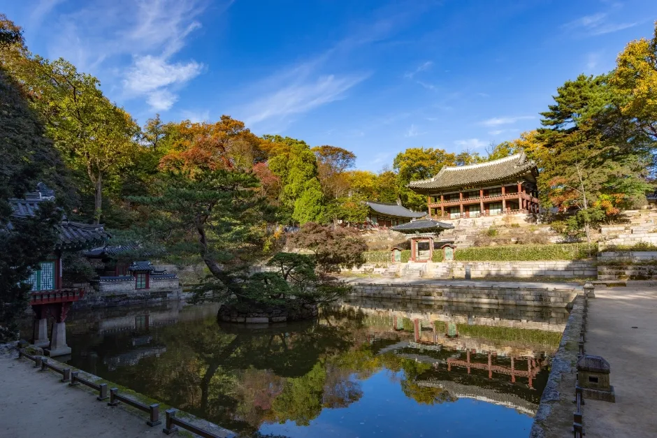 [아시아중동]창덕궁9(후원)_일반_1유형