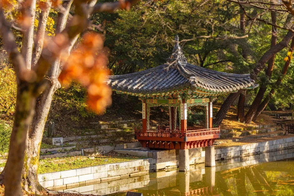창덕궁과 후원 [유네스코 세계유산]
