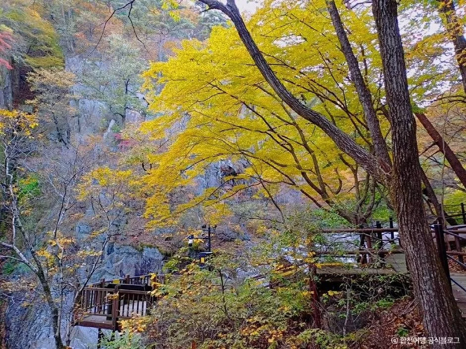 합천_가야산 소리길 (4)