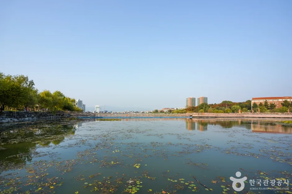 남매공원 (16)