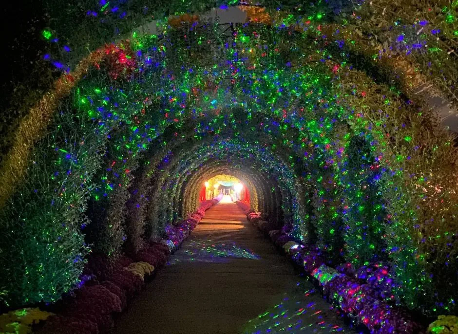피나클랜드수목원10