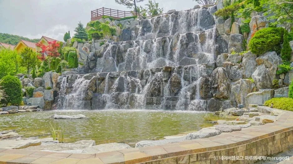 용인자작나무숲_8