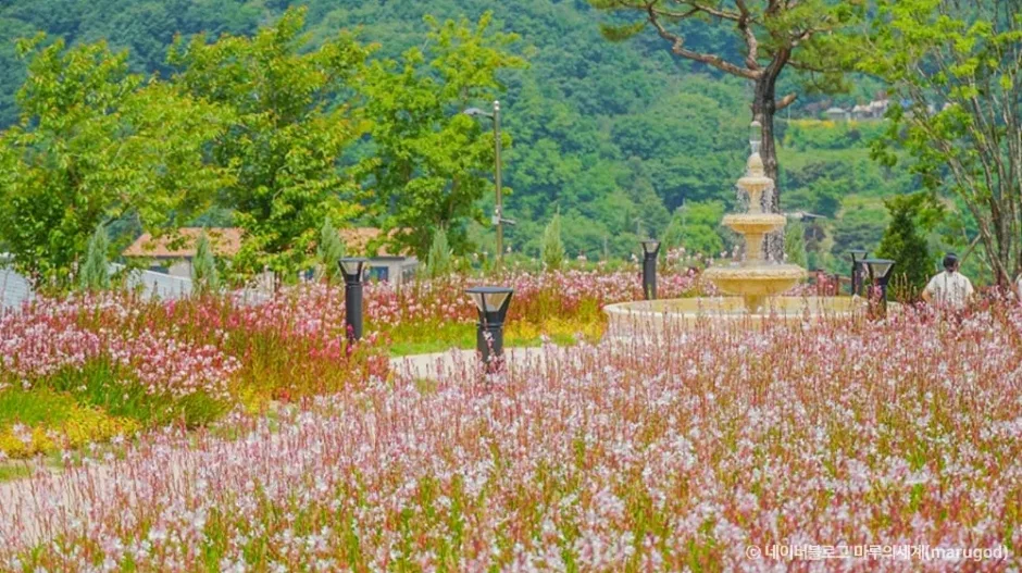 경기_용인_자작나무숲_외부_3.jpg