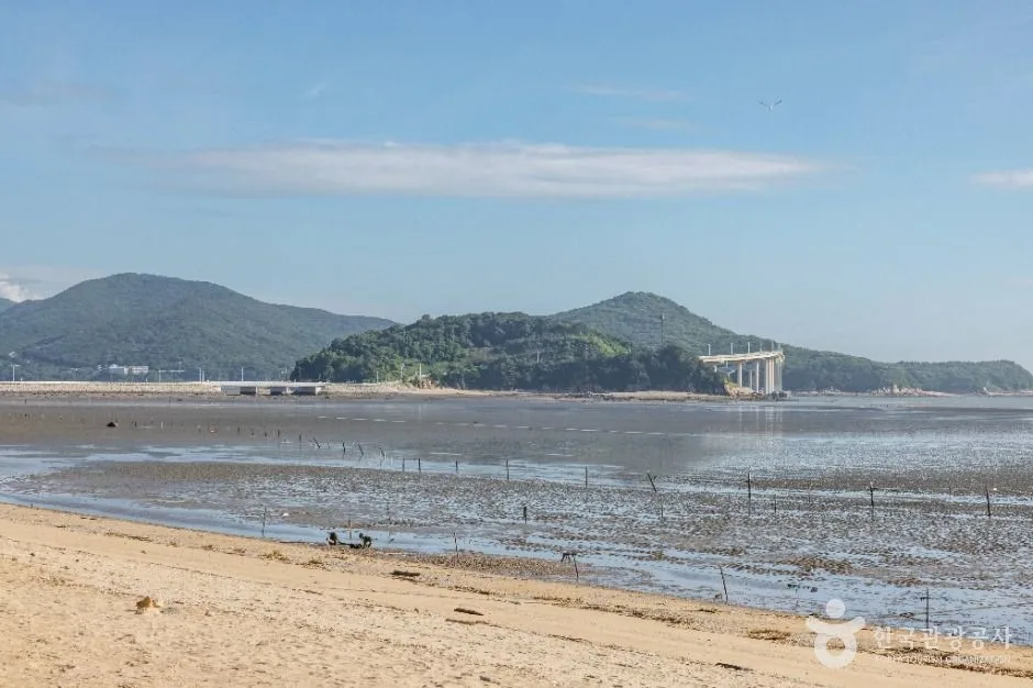 인천_영종도 마시안해변 (8)