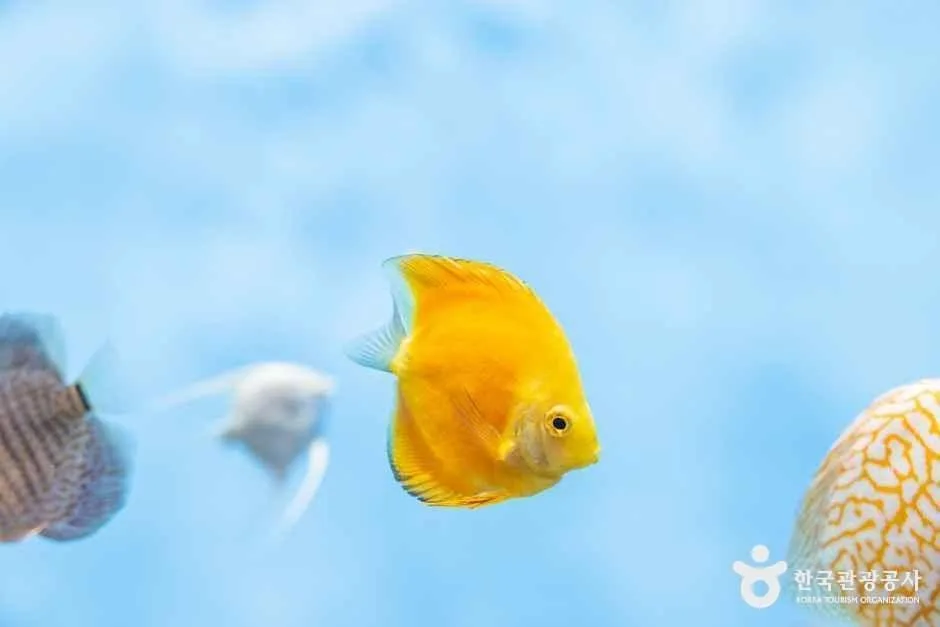 괴산_충북아쿠아리움 (4).jpg