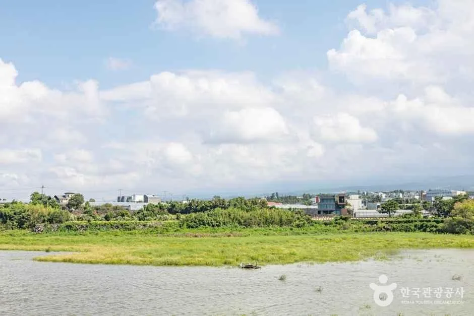 제주_수산저수지 (2).jpg