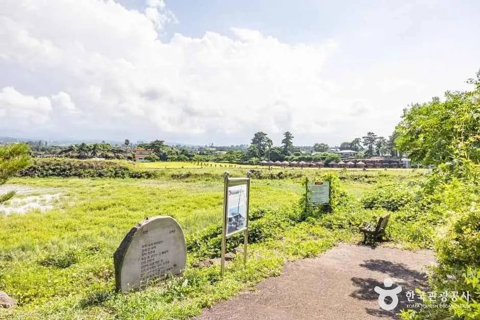 제주_수산저수지 (5).jpg