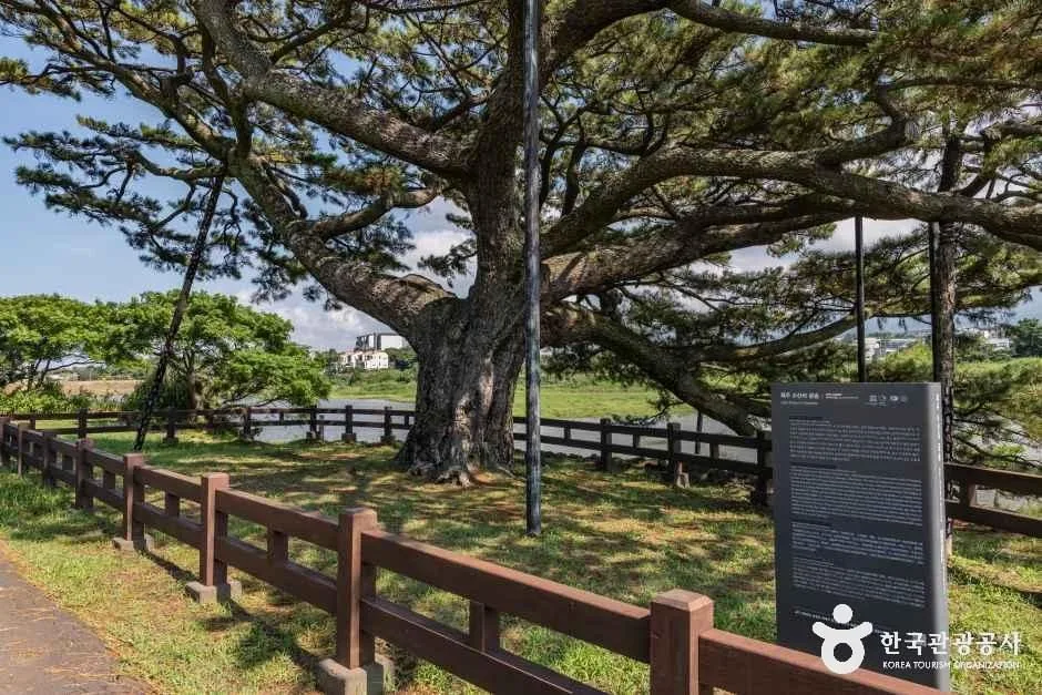 제주_수산저수지 (13).jpg