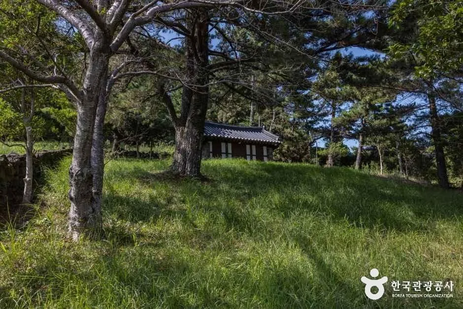 제주_수산저수지 (6).jpg
