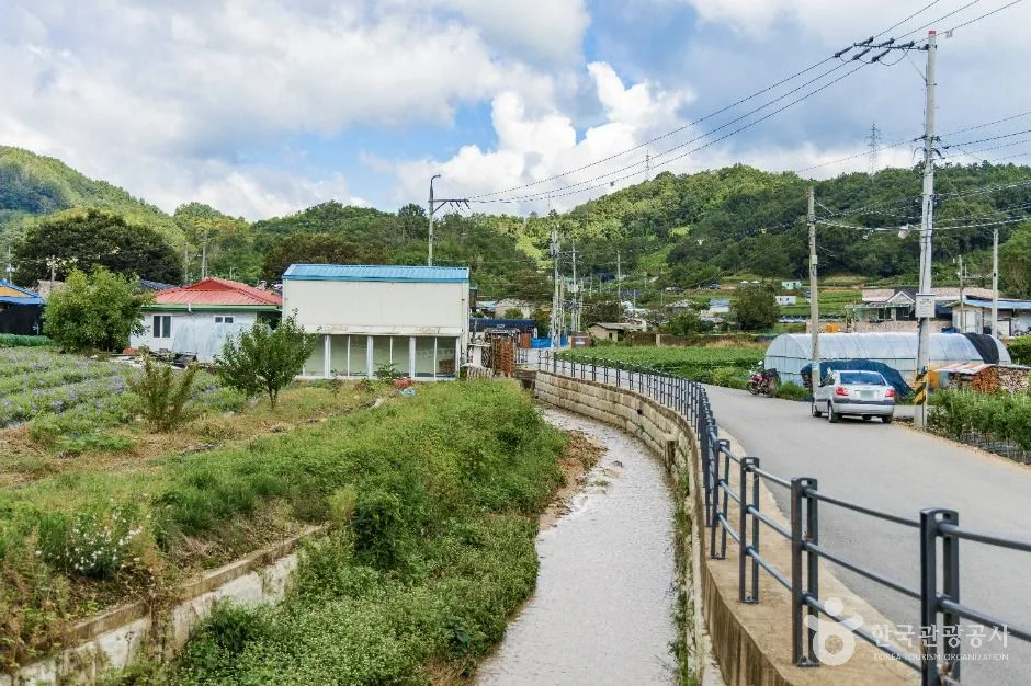 금산_금산 바리실마을 (4)