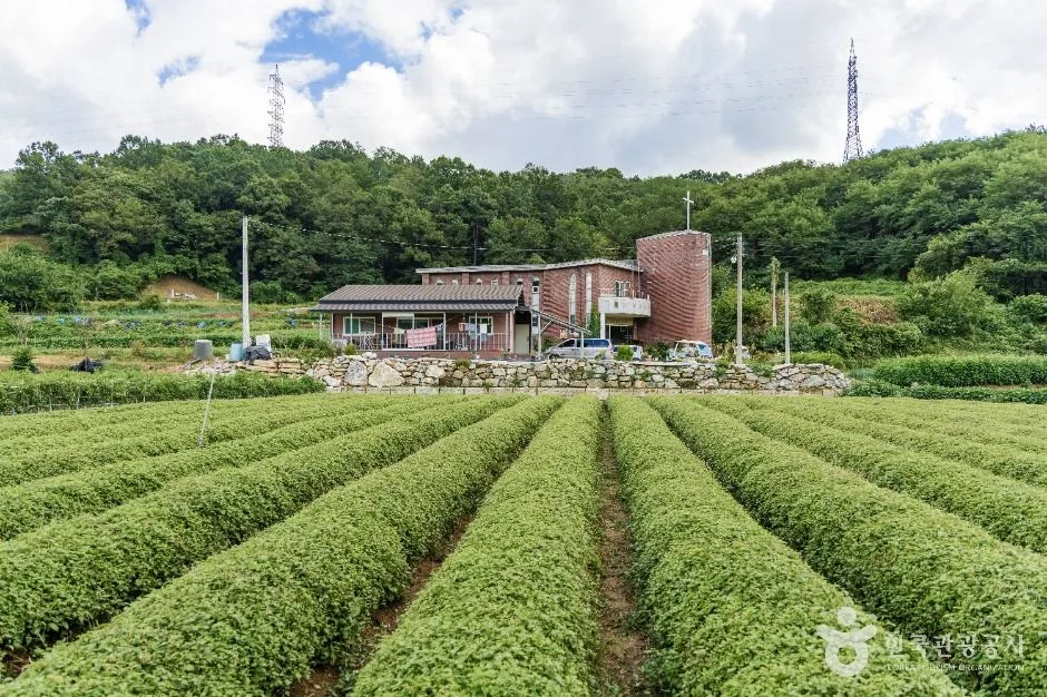 금산_금산 바리실마을 (5)
