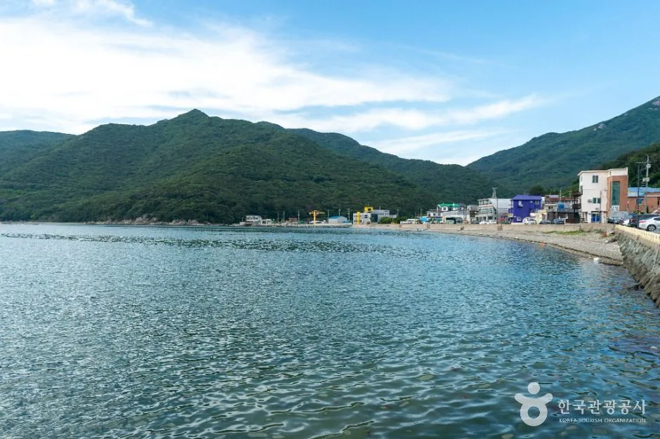 저구항