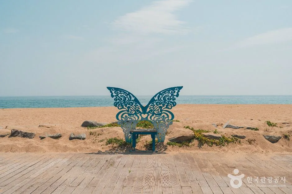 영덕_장사해수욕장 (6)