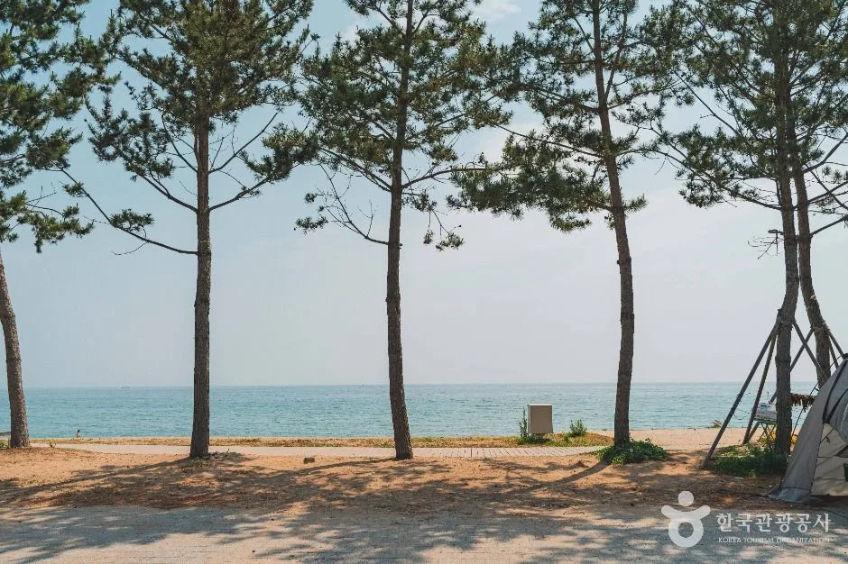 영덕_장사해수욕장 (3)