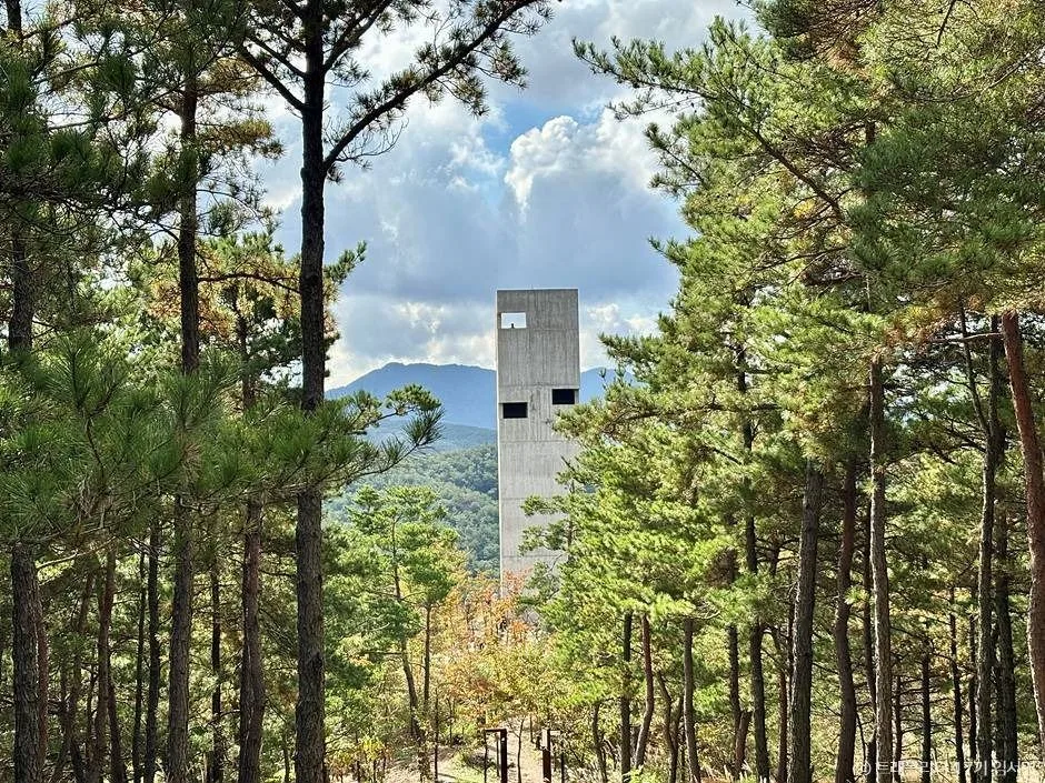 ​대구 여행 코스 군위 사유원 예약방법 뭉티기 맛집 카페 소품샵 추천_군위 사유원_1-2