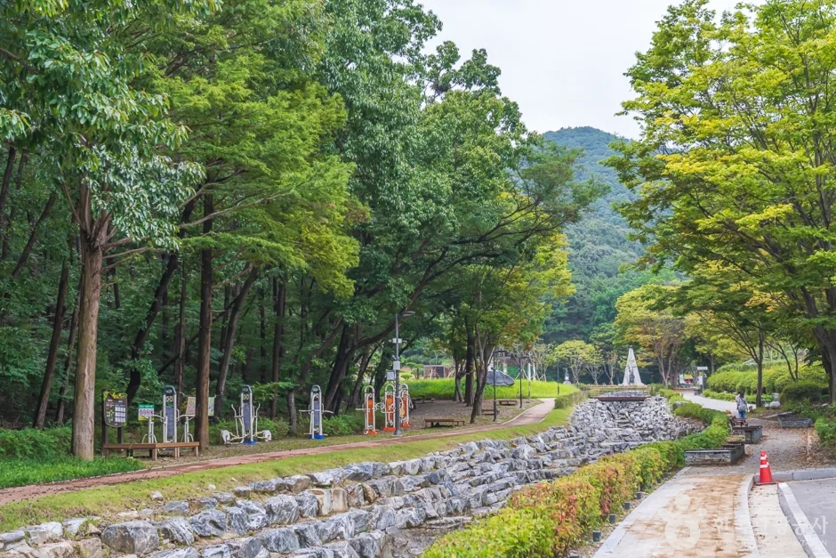 태조산 공원 (15)