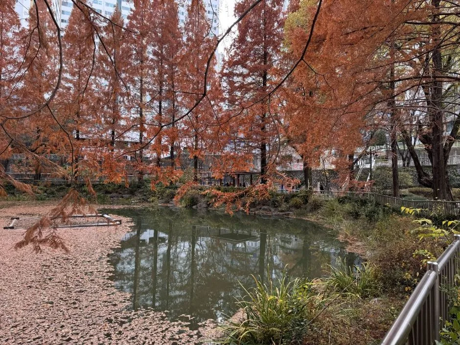 월영연못공원_통로 내리막길