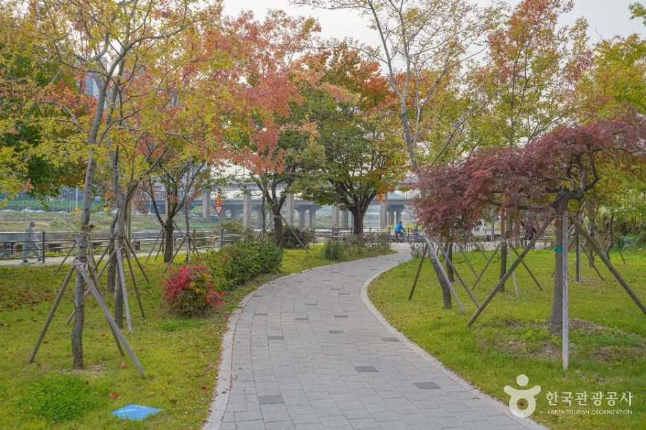 서울_살곶이체육공원 (5)