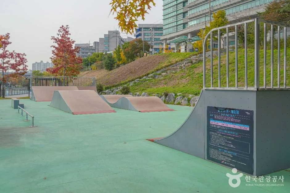 서울_살곶이체육공원 (1)
