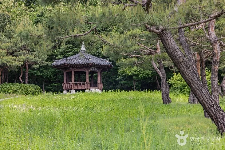청주_손병희 유허지 (22)