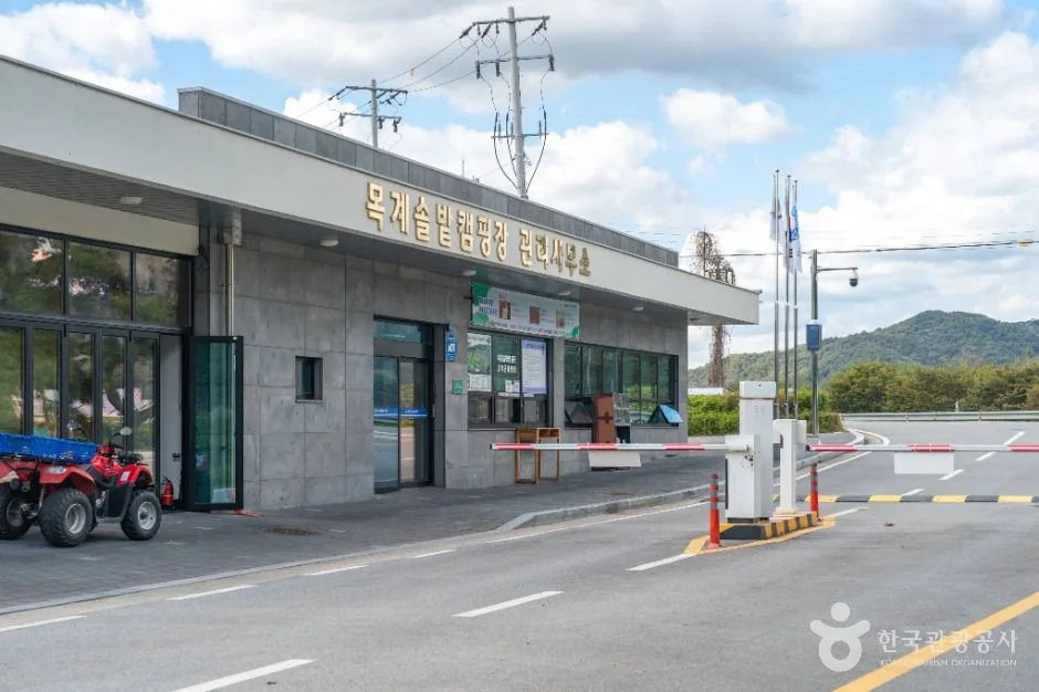 충주_목계솔밭(충주) (5)
