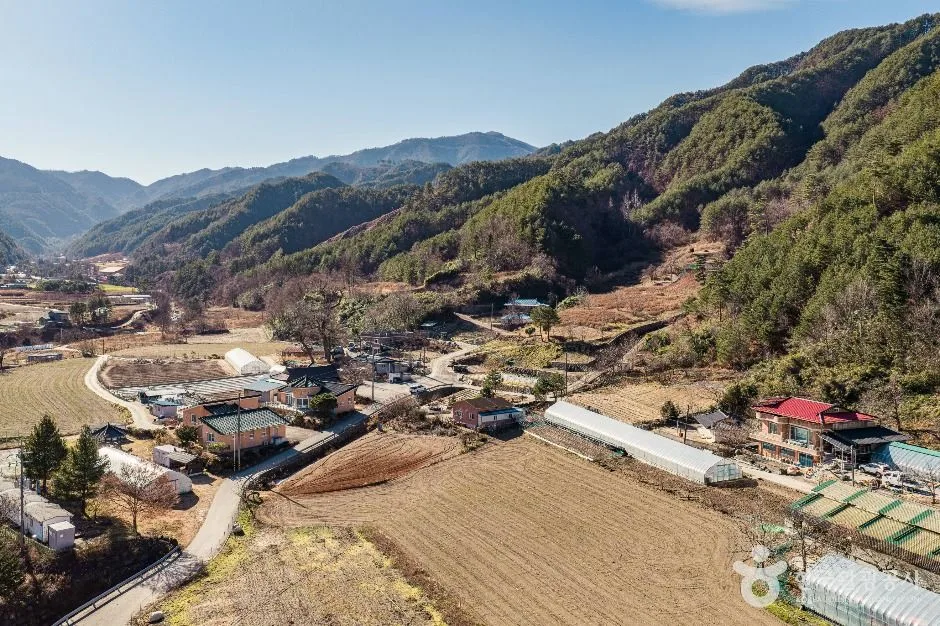 삼척_삼척 가시오가피마을 (9)