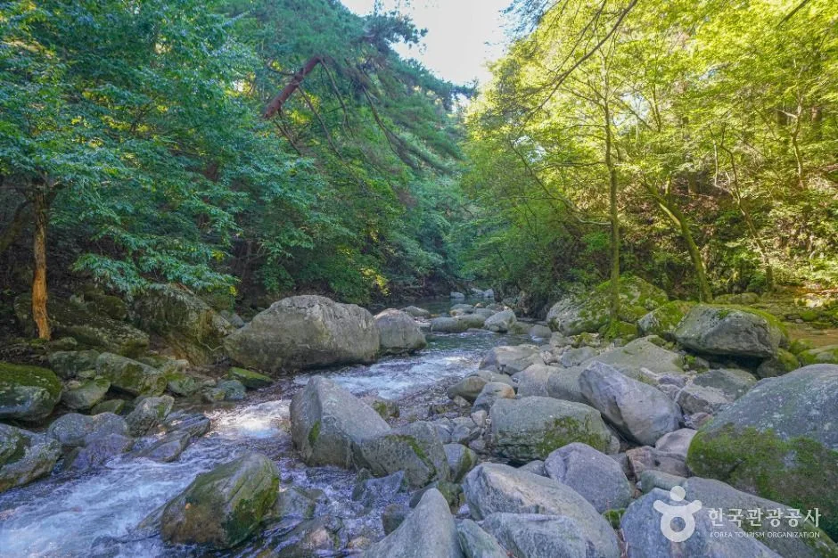 함양_기백산 용추계곡과 용추폭포 (2)