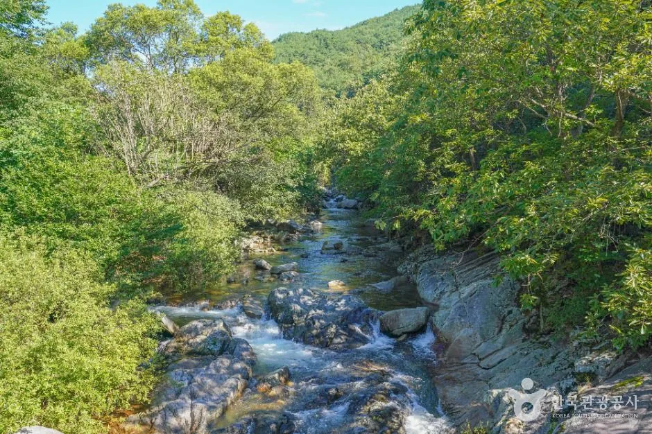 함양_기백산 용추계곡과 용추폭포 (5)