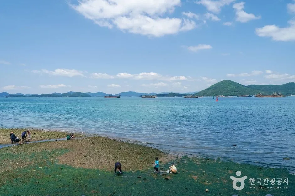 창원_진해해안도로 (3)