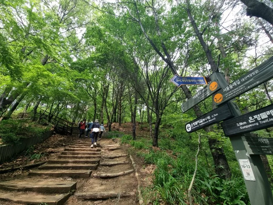 [서울둘레길 16코스] 봉산·앵봉산코스 (14)