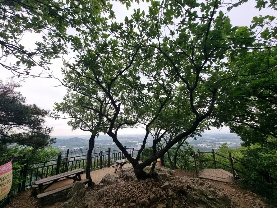 [서울둘레길 16코스] 봉산·앵봉산코스 (15)
