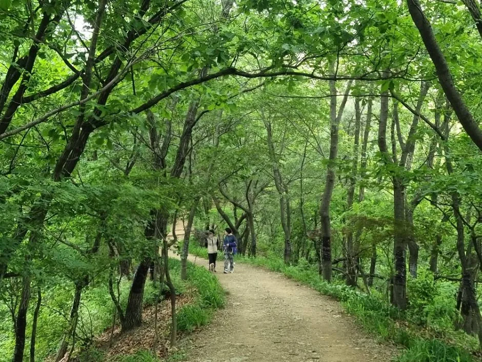 [서울둘레길 16코스] 봉산·앵봉산코스 (5)