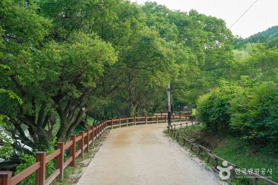 창원_진해내수면 환경생태공원 (4)