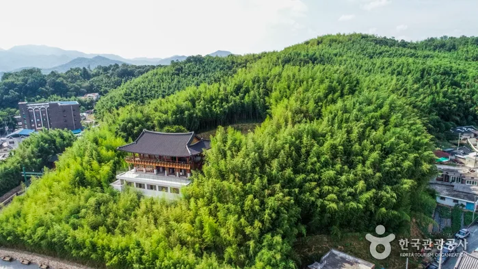 죽녹원 (3)
