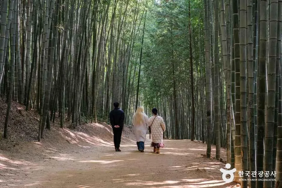 죽녹원
