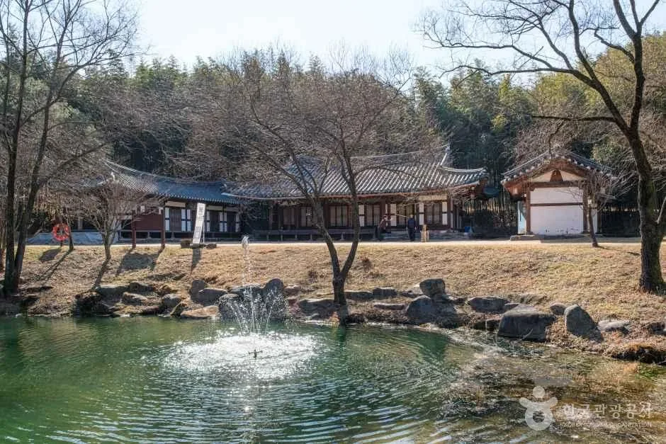 죽녹원 (7)