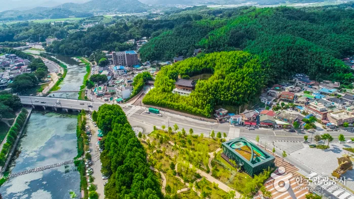 죽녹원 (2)